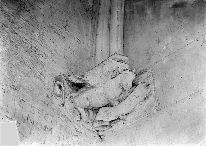 Château Donjon. Console sculptée : Taureau de saint Luc, Vorin, 