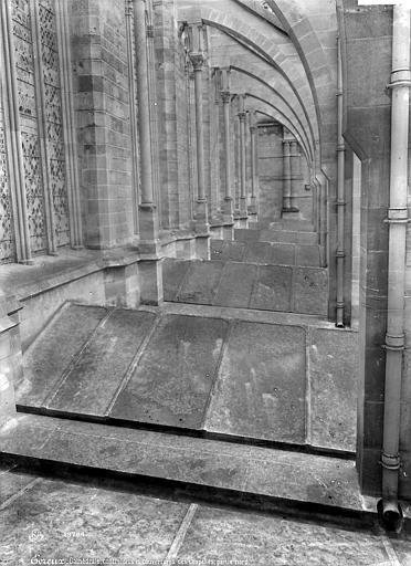 Cathédrale Notre-Dame Façade nord : Arcs-boutants et couverture des chapelles, Mieusement, Médéric (photographe), 