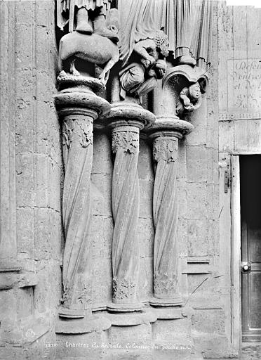 Cathédrale Notre-Dame Portail gauche de la façade nord : soubassement du piédroit gauche, Mieusement, Médéric (photographe), 