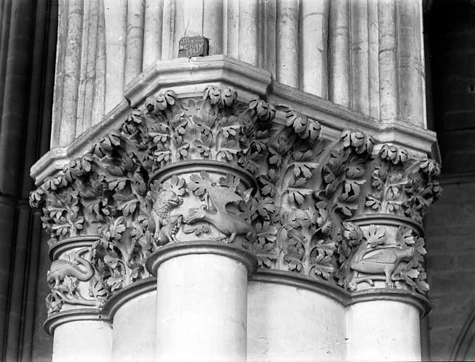 Cathédrale Notre-Dame Nef, chapiteau, Lajoie, Abel, 
